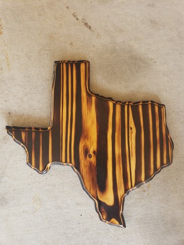 Texas deer antler mounting - texas,