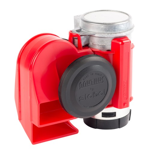 Stebel horn nautilus - stebel,
