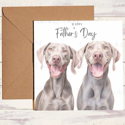 Weimaraner dashing duo - dashing, |