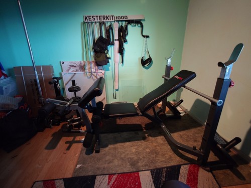 Bodymax cf353 olympic - bodymax,
