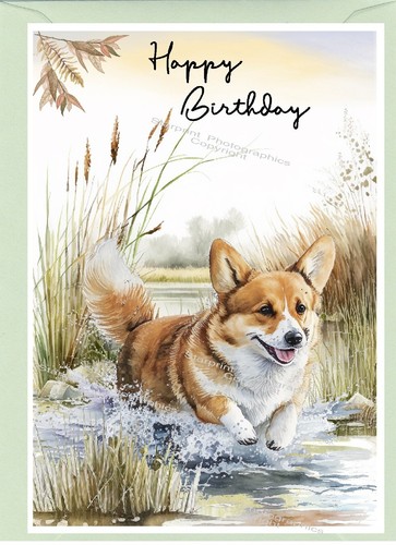 Corgi dog birthday card - birthday, (6"