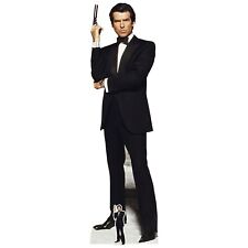 Pierce Brosnan Secret Agent