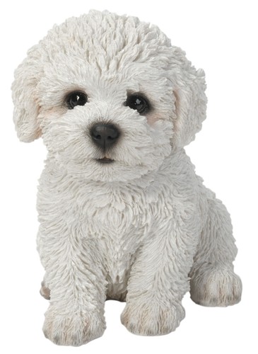 Vivid arts pet - vivid,