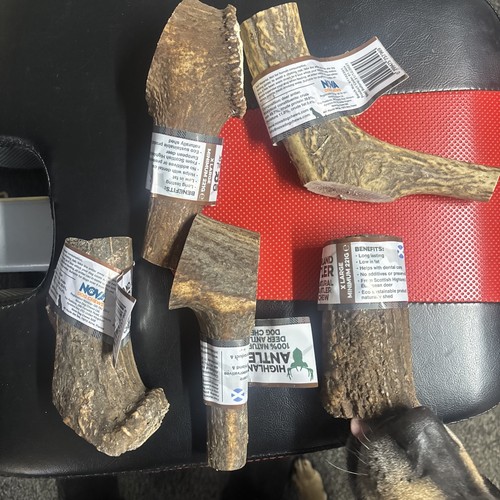 Antos antler natural dog chew - natural,