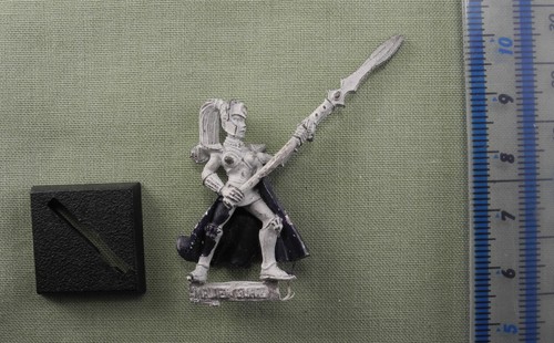 High elf maiden - guard, metal