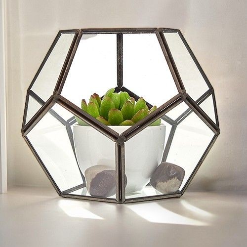 Large octogan glass terrarium - glass,