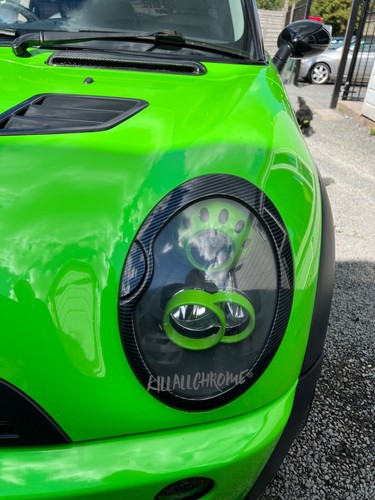 Fits mini carbon look head - fits,