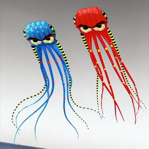 Giant octopus kite garden - octopus,