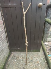 Twisted Hazel Walking Stick