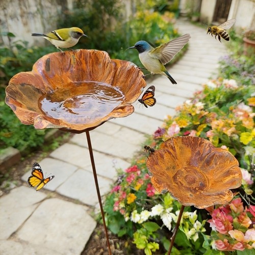 Metal bird bath - bird, bath,