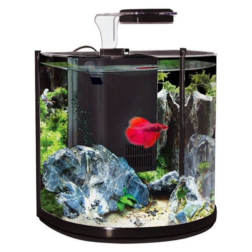 Aqua one betta tank - betta, half
