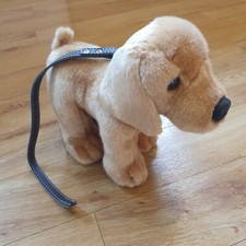 Keel Dog Puppy On Lead Soft