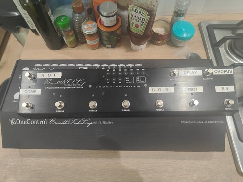 One control crocodile - one,