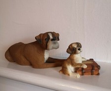 Sherratt & Simpson Boxer Puppy
