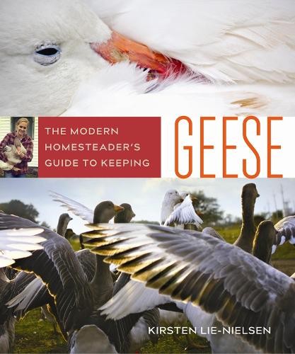 Kirsten lie nielsen - kirsten, the