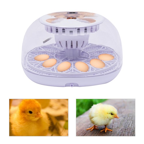 Egg incubator digital - incubator,