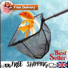 Pond Net Catch Fish & Debris