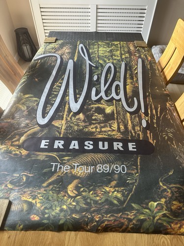 Erasure wild the - erasure,