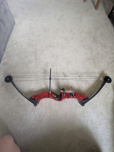 Hoyt raptor compound bow with - raptor,