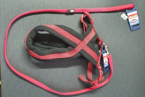 Small dog puppy comfort - dog/puppy,