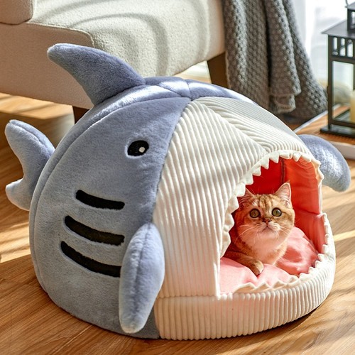 Shark pet bed cats - cats, cosy