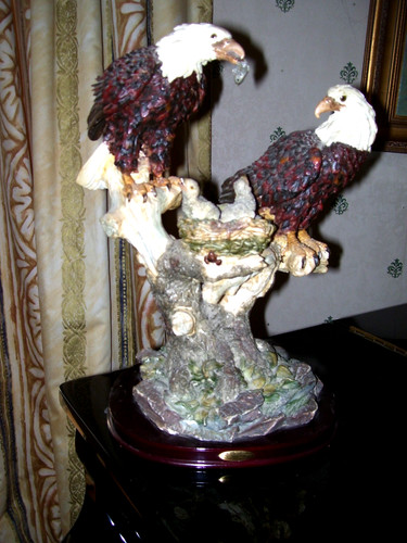 Beautiful collection eagles - beautiful,