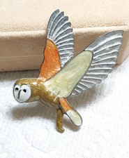 Barn Owl Bird Wildlife Nature