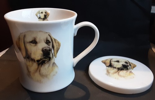 Boxed golden labrador - golden, ceramic