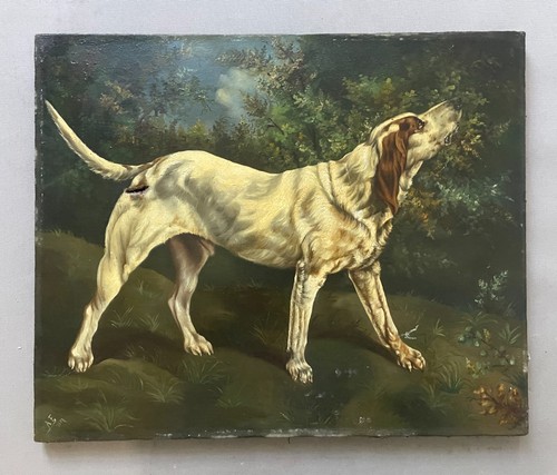 Hunting dog oil - hunting, canvas