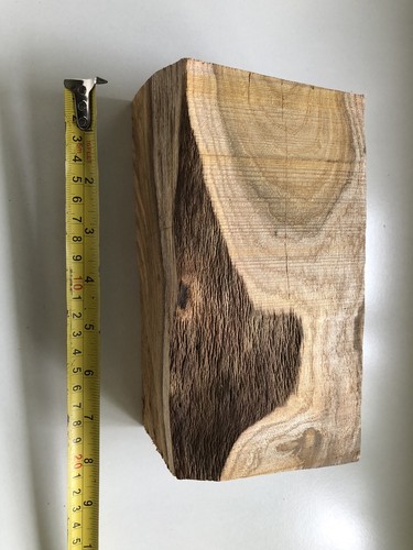 Laburnum wood turning blank - wood,