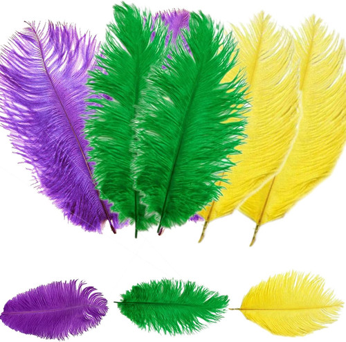 Pcs inch mardi gras - 12,
