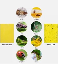 Yellow Sticky Fly Trap Insect Catcher Traps Paper Killer Glue Fruit Flies Aphids