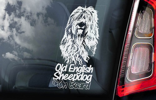 Old english sheepdog car - old,