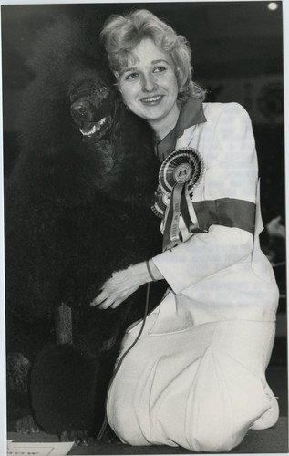 Marita gibbs standard - standard, poodle