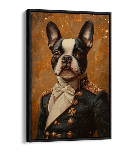 Boston terrier vintage - in,