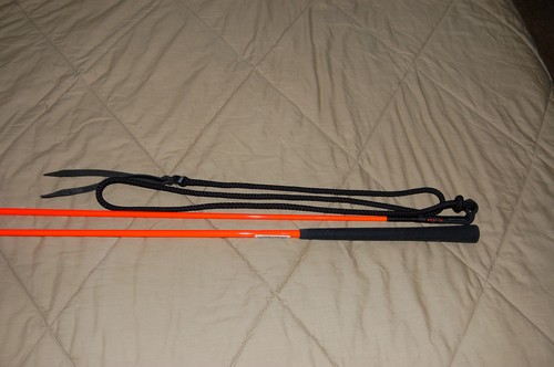 Horse training carrot handy - horse,