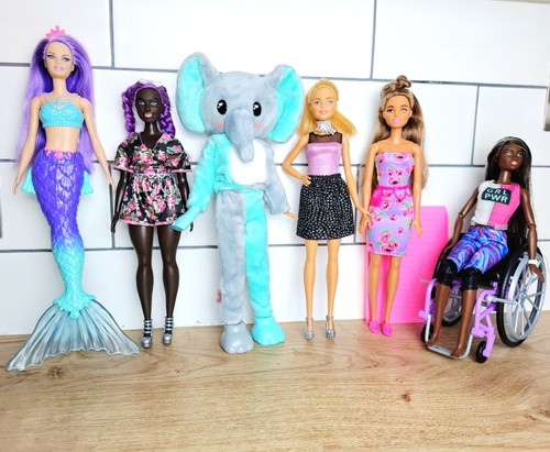 Barbie dolls bundle - d,