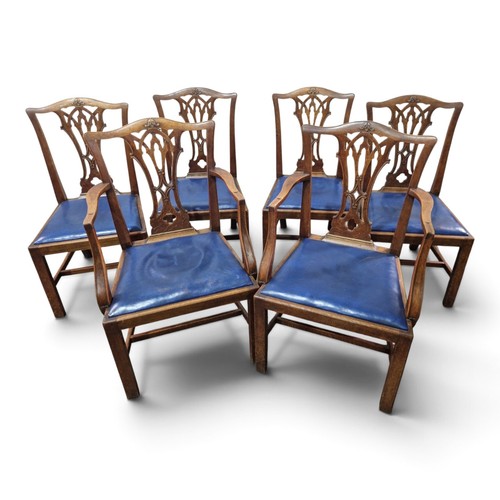 Hepplewhite dining chairs set - dining,