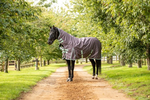 100g turnout horse pony - 100g,