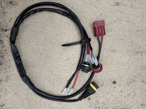 Iame x30 wiring loom - wiring,