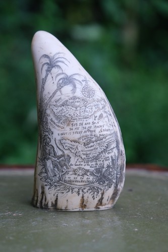 Faux scrimshaw composite whale - composite,