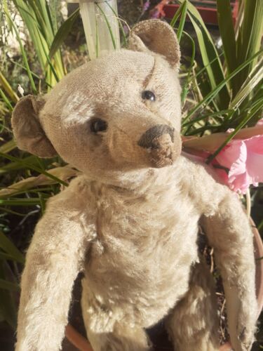 Steiff antique rare - steiff,