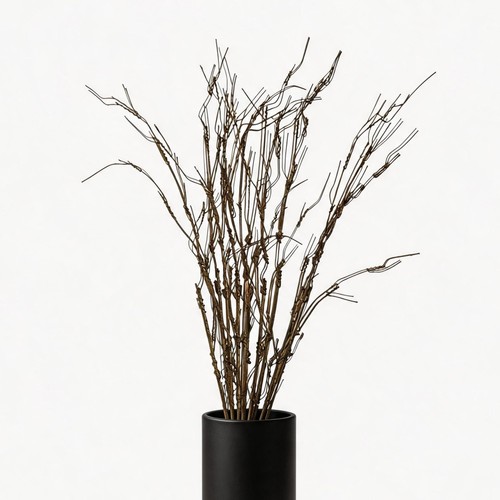 Pcs curly willow - pcs,