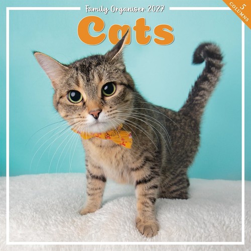 Cats family organiser 2027 - family,