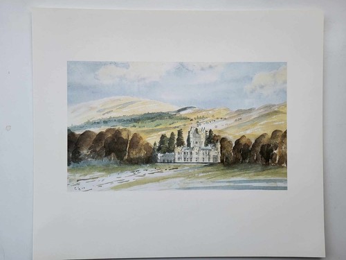 Vintage print prince wales - print,