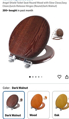 Angel shield elongated - shield,