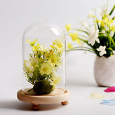 Wooden Base Small/Large Glass