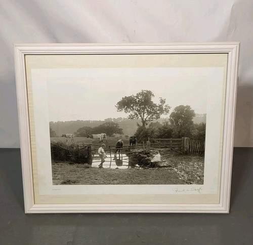 Frank meadow sutcliffe framed - meadow,