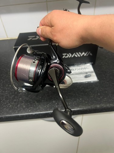 Daiwa castizm 25qd - daiwa,