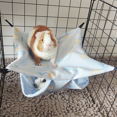 Hamster guinea pig - hamster, hammock